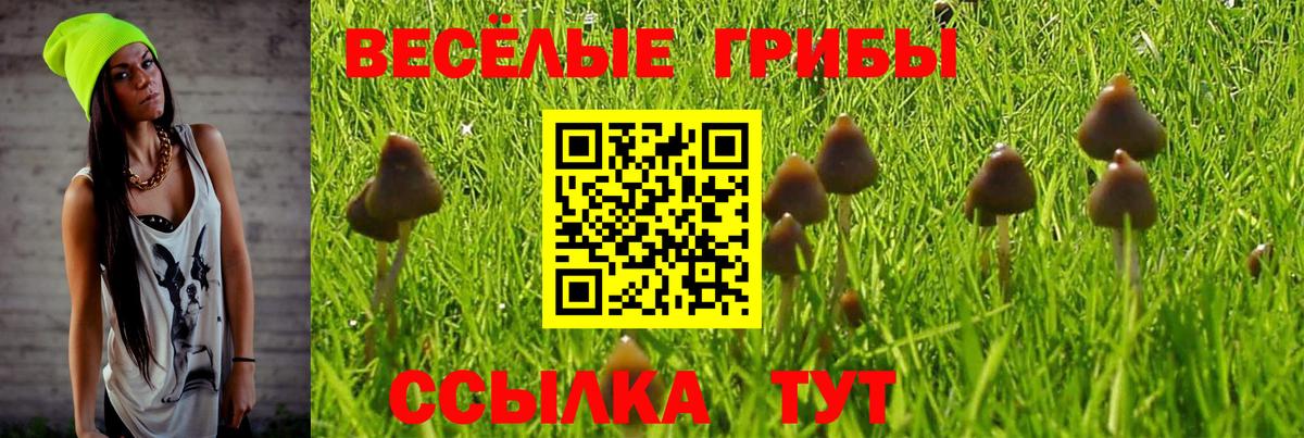 Галлюциногенные грибы мицелий  Вход с VPN  Красноярск 